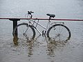 A bike in floodwater around Richmond Bridge