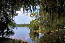 A lake scene, palm fronds in foreground, with trees in the distance