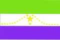 Bandera del departamento de Usulután