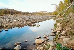 Agua Fria River at Gillett, Arizona