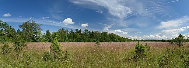 Форма рельефа в Кейла