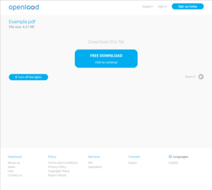Screenshot of a file's download page on Openload