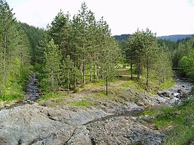 La rivière Prenja, sur le mont Ozren