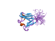 2dad: Solution structure of the fifth crystall domain of the non-lens protein, Absent in melanoma 1