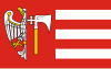 Flag of Wągrowiec County