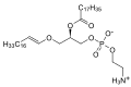 Минијатура за верзију на дан 19:36, 4. октобар 2010.