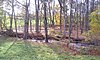 The Pocantico River within Rockefeller State Park Preserve.