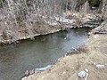 A picture of the Rouge River during winter