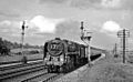 70023 mit dem Capitals United Express nach Fishguard Harbour nahe Twyford (April 1957)