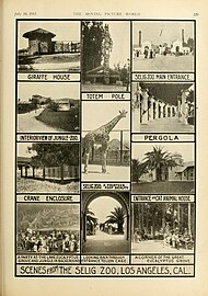Animal collection highlights, 1915