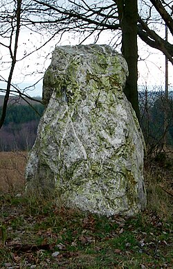 Image illustrative de l’article Menhirs de Schönberg