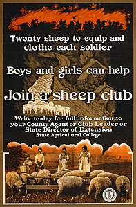Sheep club poster at Sheep farming, by Breuker & Kessler, Co. (edited by Durova)