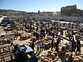 سوق للخرفان في واحة غرداية الجزائرية استعدادا لعيد الأضحى