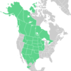 Symphyotrichum falcatum distribution map: Canada — Alberta, British Columbia, Manitoba, Northwest Territories, Ontario, Saskatchewan, and Yukon; Mexico — Chihuahua, Coahuila, Durango, Jalisco, Nuevo León, and Sonora; US — Alaska, Arizona, Colorado, Idaho, Illinois, Iowa, Kansas, Minnesota, Missouri, Montana, Nebraska, New Mexico, North Dakota, Oklahoma, South Dakota, Texas, Utah, Wisconsin, and Wyoming.