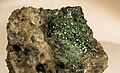 Torbernite - Wheal Buller, Redruth, Cornouailles (Angleterre) (XX3mm)