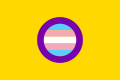 Bandera intersex transgénero (2017)