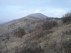 Поглед кон врвот Гноиште (928 м.) и протегањето на главното било и срт на Клепа кон север