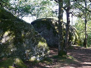 Le chaos granitique du sommet du Puy Maria.