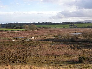 A view across Cors Bodeilio, Anglesey, Wales