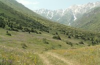 Westliches Tian-Shan-Gebirge