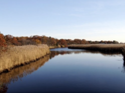 Brown's River facing south on Middle Road as you enter Bayport.