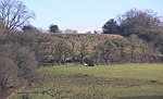 Large univallate hillfort with outworks 800 m west of White Cross