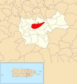 Location of Cayey barrio-pueblo within the municipality of Cayey shown in red