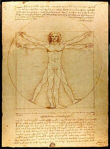 Vitruvian Man, by Leonardo da Vinci