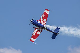 Equipe de voltige de l'Armée de l'air en présentation au meeting de Dijon.