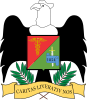 Official seal of Junín