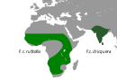 Central, western and southern Africa, India
