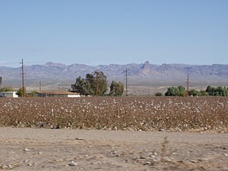 Fort Mojave Indian Reservation, with Boundary Cone in distance