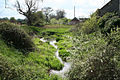 Stream running through channel overgrown with vegetation.