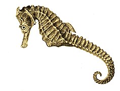Seahorses have thin skin stretched over bony plates arranged in rings.