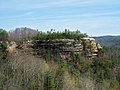 Rock cliff in Natural Bridge State Resort Park.