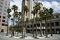 Circle of Palms Plaza in downtown San Jose on Apr 23, 2008