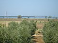 Lake Lesina Lago di Lesina