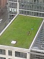 "green roof"