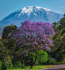 Kilimajaro view from Shanty Town, Moshi Municipality