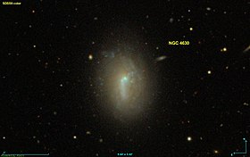 Image illustrative de l’article NGC 4630