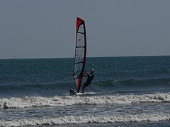 windsurfer