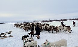 Circondario autonomo dei Nenec – Veduta