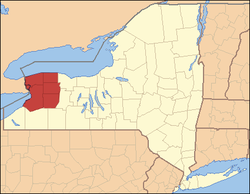 Location of the Niagara Frontier in New York. ██ Niagara Frontier ██ Rest of New York State