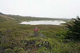 Pescadero Marsh Natural Preserve