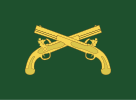 Flag of the Army Provost Marshal General