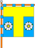 Flag of Tomashpil