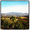 View over Sumadija in Orasac