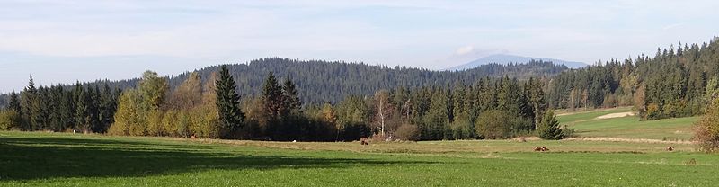 Panorama widokowa na Wielki Dział i grzbiet Pasieki (po lewej stronie Wielkiego Działu