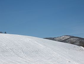 Woody's Knob From 221