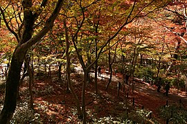 Parc de Zuihôji.